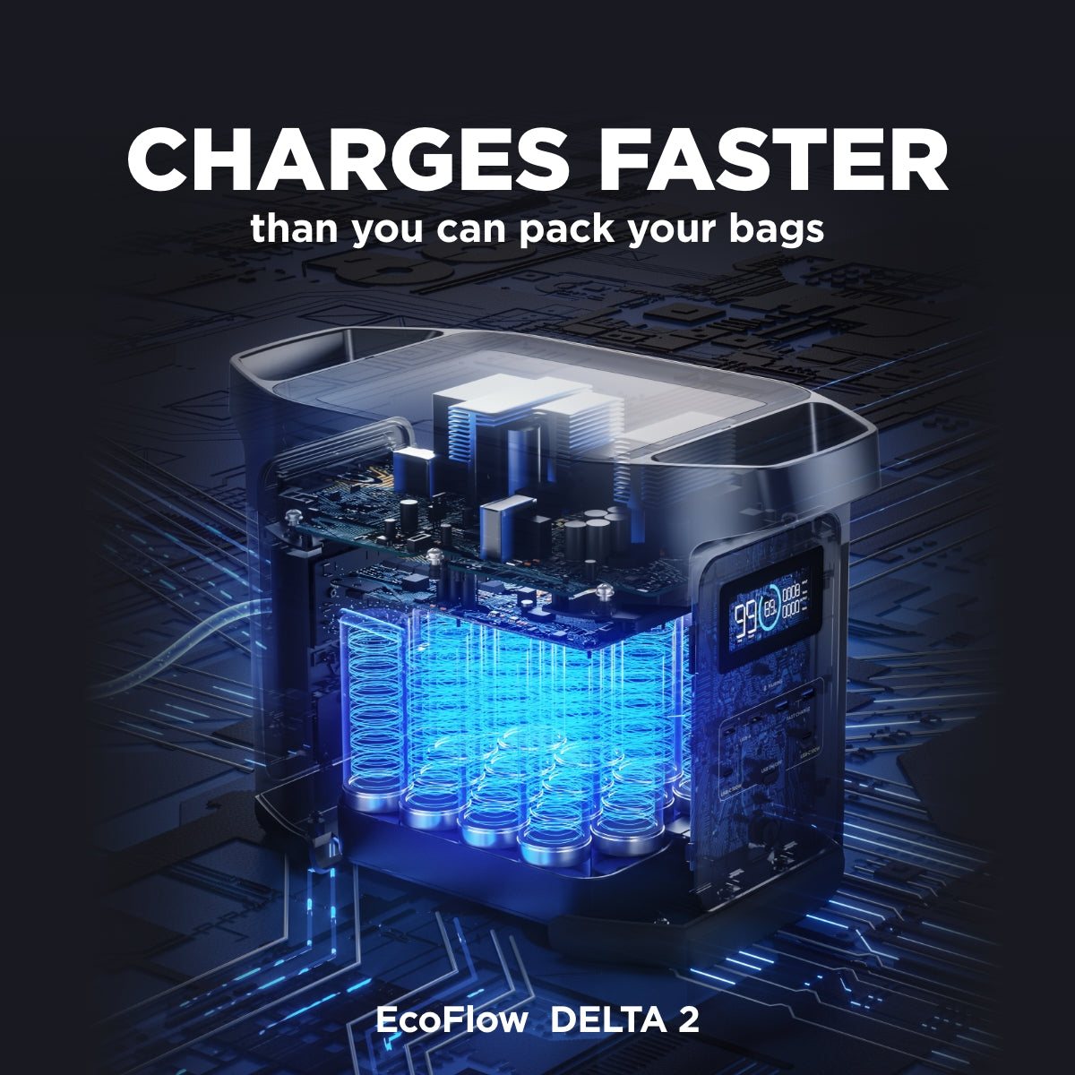 EcoFlow DELTA 2 950 mobile power supply, 950Wh LiFePO4 battery life for 10 years, 80 minutes 100% charging, 1800W AC output power supply, can be used as a solar power bank for home backup power or outdoor camping and RV (solar panel SKU optional)